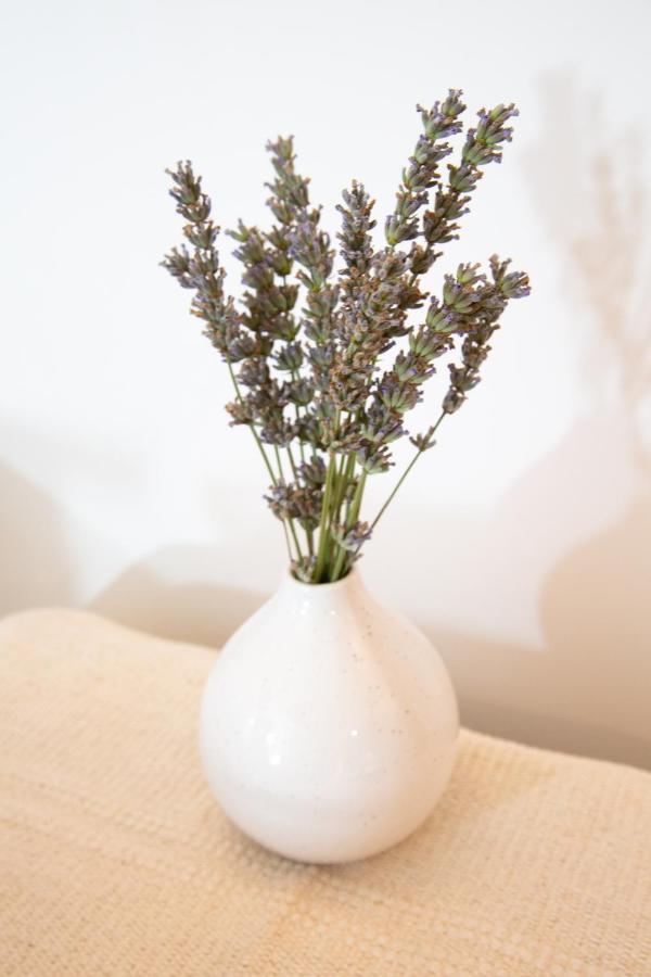 Petit Studio Secret - Coeur De Provence - 4 Personnes Volx 외부 사진